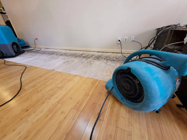 Professional Burst Pipe Water Damage technician working in Kettlersville, OH